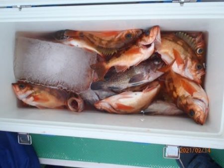 第二むつ漁丸 釣果