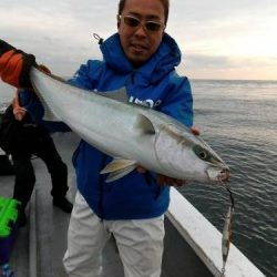 ファイヤードルフィン 釣果