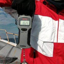 ファイヤードルフィン 釣果