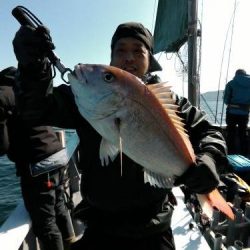 ファイヤードルフィン 釣果