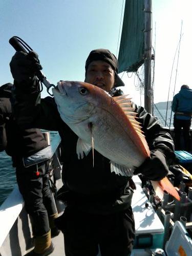 ファイヤードルフィン 釣果