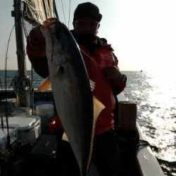 ファイヤードルフィン 釣果