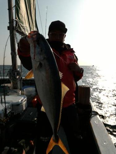 ファイヤードルフィン 釣果