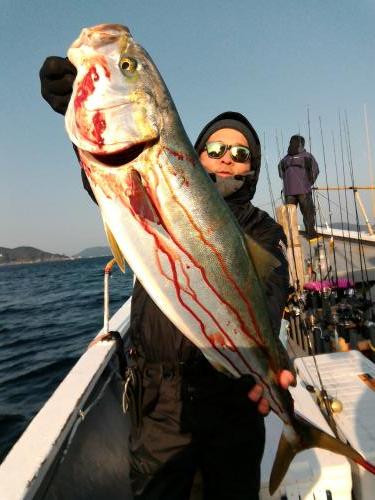 ファイヤードルフィン 釣果