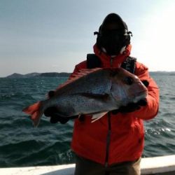 ファイヤードルフィン 釣果