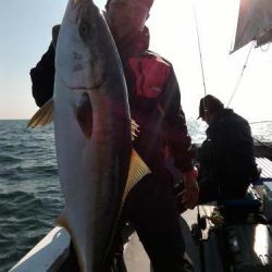 ファイヤードルフィン 釣果