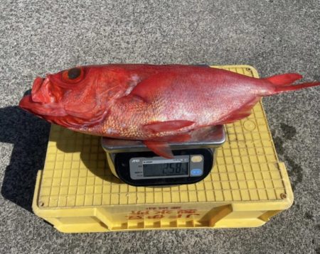 番匠高宮丸 釣果