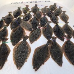 Magic（マジック） 釣果