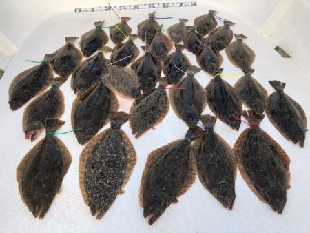 Magic（マジック） 釣果