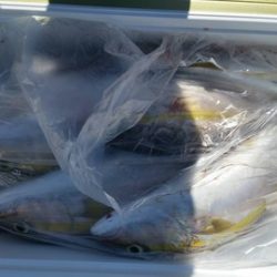 第五慶門丸 釣果