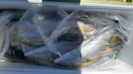 第五慶門丸 釣果