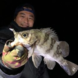 Magic（マジック） 釣果