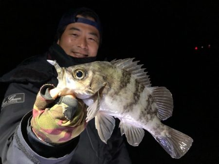 Magic（マジック） 釣果