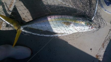 弘福丸 釣果