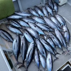 へいみつ丸 釣果