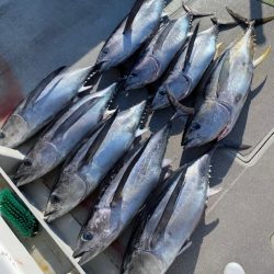 へいみつ丸 釣果