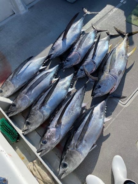 へいみつ丸 釣果