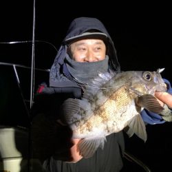 Magic（マジック） 釣果