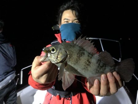 Magic(マジック) 釣果