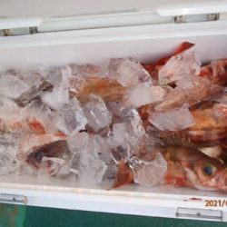 第二むつ漁丸 釣果