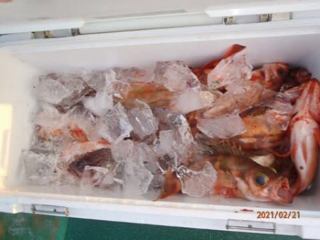 第二むつ漁丸 釣果