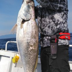 遊漁船 新鋭丸 釣果