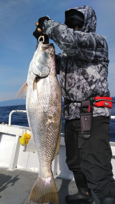 遊漁船 新鋭丸 釣果