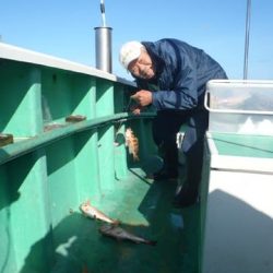 第二むつ漁丸 釣果