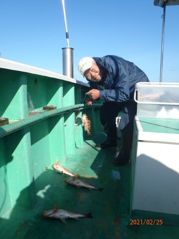 第二むつ漁丸 釣果