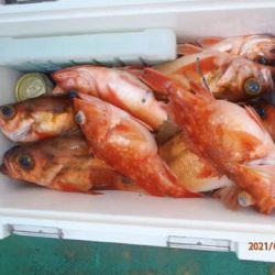 第二むつ漁丸 釣果