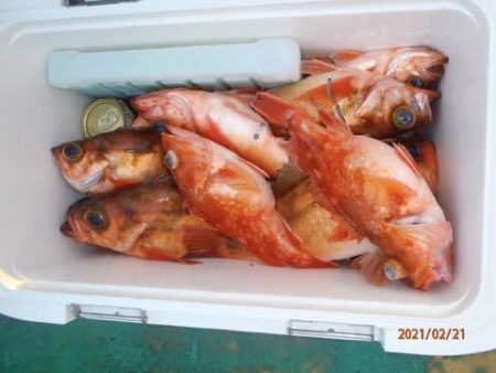 第二むつ漁丸 釣果