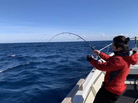 FP志摩 釣果