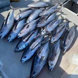 へいみつ丸 釣果