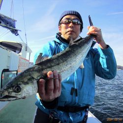さわ浦丸 釣果