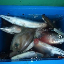 第二むつ漁丸 釣果