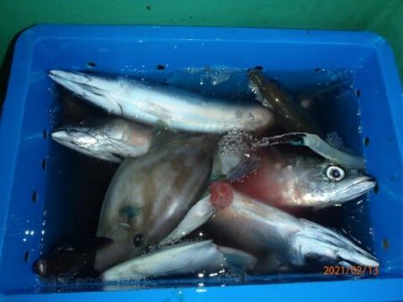 第二むつ漁丸 釣果