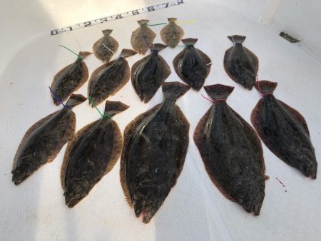 Magic（マジック） 釣果