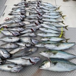 ミタチ丸 釣果