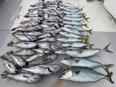 ミタチ丸 釣果