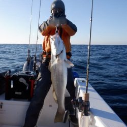 開進丸 釣果