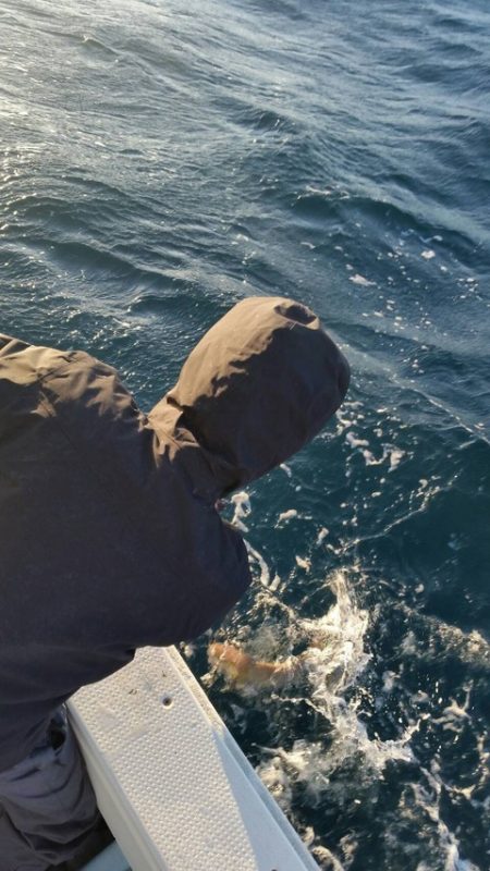 第五慶門丸 釣果