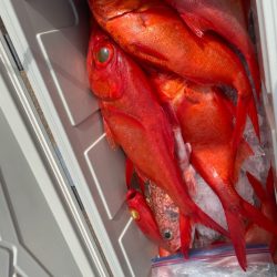 番匠高宮丸 釣果