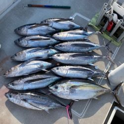 へいみつ丸 釣果