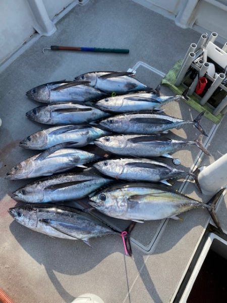 へいみつ丸 釣果