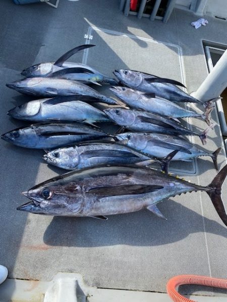 へいみつ丸 釣果