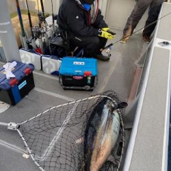 へいみつ丸 釣果