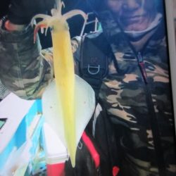 松福丸 釣果