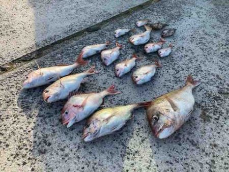 遊漁船 セトマリン 釣果