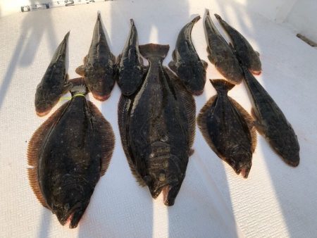 Magic（マジック） 釣果