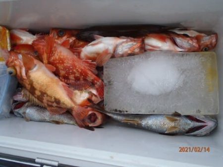 第二むつ漁丸 釣果